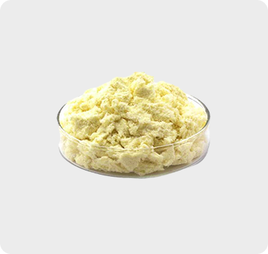 对位芳纶（芳纶1414） 短纤与浆粕